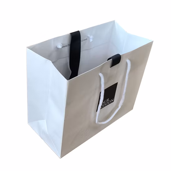 Printed FSC White Art Coated Paper Packaging Luxury Shopping Gift Bag for Clothes Apparel Gift