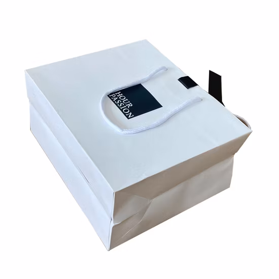 Printed FSC White Art Coated Paper Packaging Luxury Shopping Gift Bag for Clothes Apparel Gift