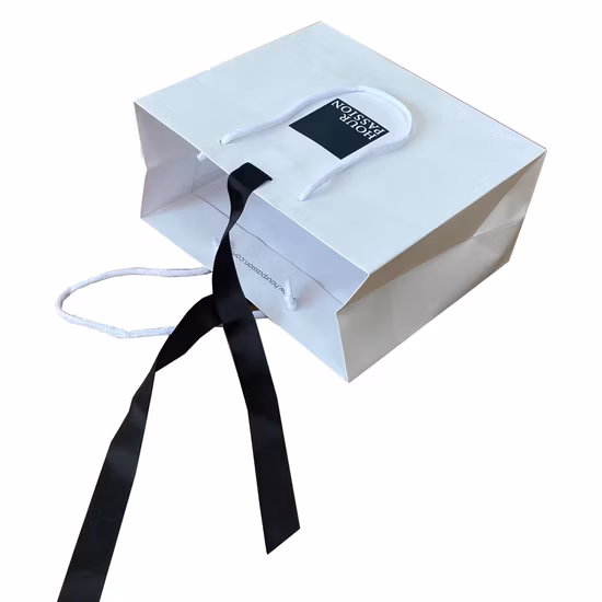 Printed FSC White Art Coated Paper Packaging Luxury Shopping Gift Bag for Clothes Apparel Gift