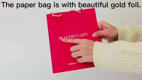 Sac cadeau d'achat personnalisé d'impression de papier cosmétique de haute qualité