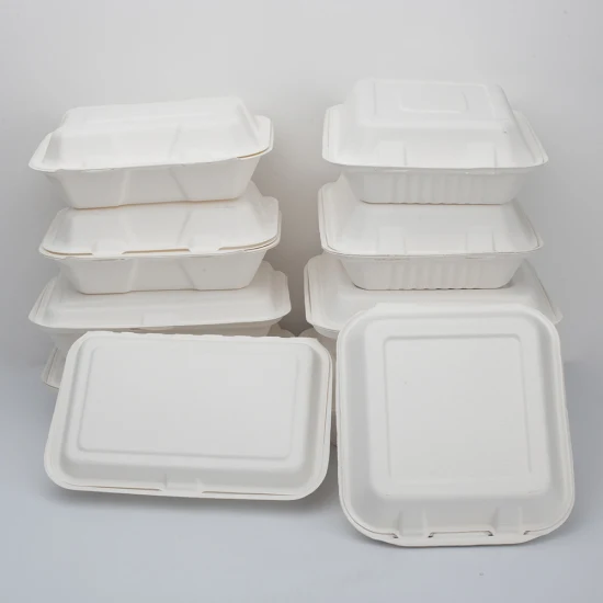 Récipient de boîte à clapet compostable de pâte à papier de bagasse jetable écologique biodégradable